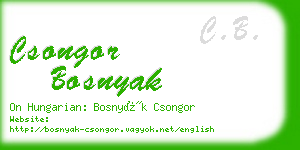 csongor bosnyak business card